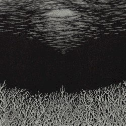 The Slow Dying of the Great Barrier Reef