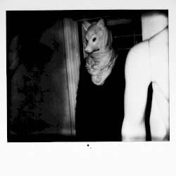 The Veins Were Licked by the Vulpine Garden