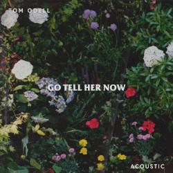 Go Tell Her Now (acoustic)