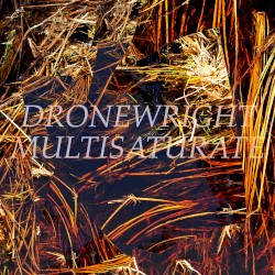 multisaturate