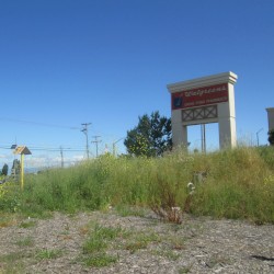 Walgreens (And Going There/Back)