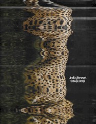 𝔏𝔲𝔨𝔢 𝔖𝔱𝔢𝔴𝔞𝔯𝔱 / 𝔗𝔞𝔰𝔥𝔦 𝔇𝔬𝔯𝔧𝔦