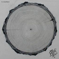 Den internasjonale bronsealderen