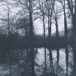 Dreaming Is a New Awakening