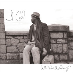 What Are We Looking For?