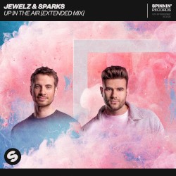 Up In The Air (Extended Mix)