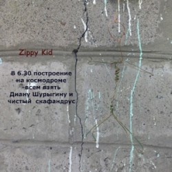 В 6.30 построение на космодроме-всем взять Диану Шурыгину и чистый скафандрус