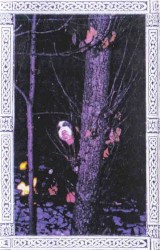 Rehearsal 3 - Frozen Tears of a Vampire