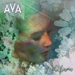 Wildflowers