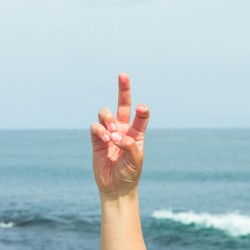 かみさま / サンクチュアリ