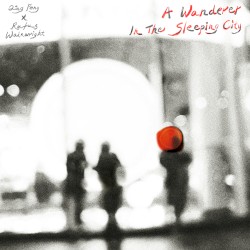 A Wanderer in the Sleeping City