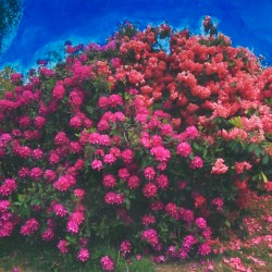 I Will Be Waiting (Baths remix)