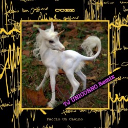 Faccio un casino (TJ Unicorno remix)
