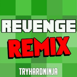 Revenge (remix)