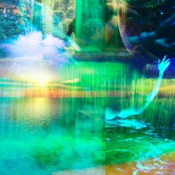 E м e я a l d D į ѵ e