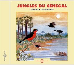 Jungles du Sénégal / Jungles of Senegal