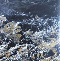 Prisoners Of Love And Hate