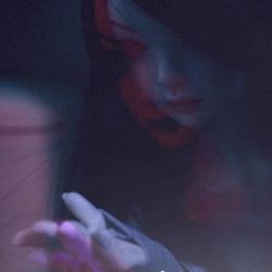 The Embrace Between the Circus and the Sky