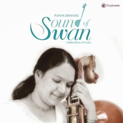 Sound of Swan