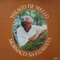 Mormaço Na Floresta