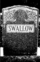 Swallow