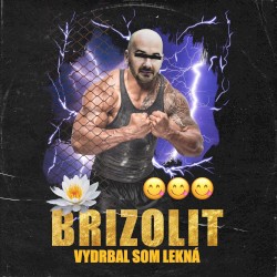 Vydrbal som lekná