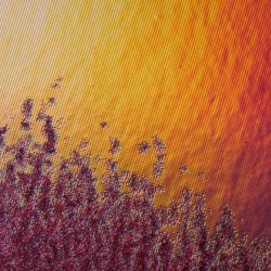 i don’t feel the same