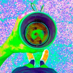 MUSHROOM WATER ‘volume 1’