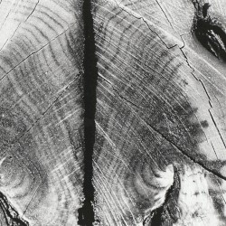 Live at Rhiz, Vienna Austria. May 12th 2003.