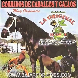 Corridos de caballos y gallos