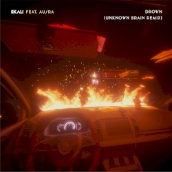 Drown (Unknown Brain remix)