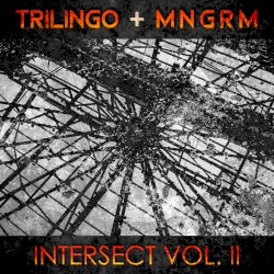 Intersect Vol. II