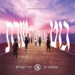Git Shabbos - גוט שבת