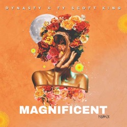 Magnificent (remix)