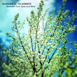 Between Your Eyes and Mine