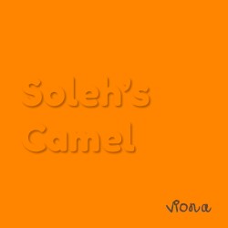 Soleh's Camel