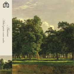 Arbol quieto entre nubes