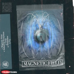 Magnetic Field