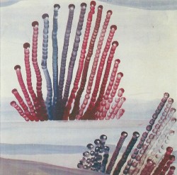 The Night Is Advancing