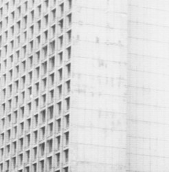 Work Hard Play Harder