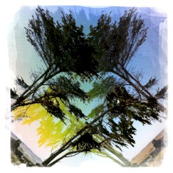 Unreleased Sketches | 48 Tracks & Cues (2006 - 2013)