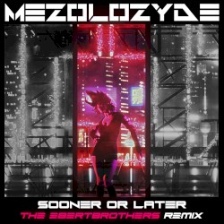 Sooner or Later (The Ebertbrothers remix)