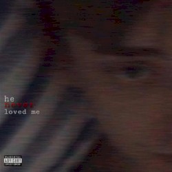 HE NEVER LOVED ME