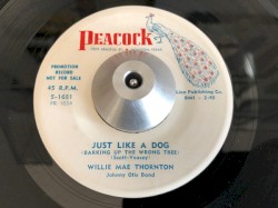 Just Like a Dog (Barking Up the Wrong Tree) / My Man Called Me