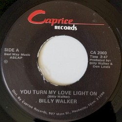 You Turn My Love Light On