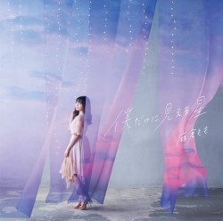 僕だけに見える星