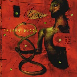 Doomsday: Back + Forth Vol 5, Live In Dresden