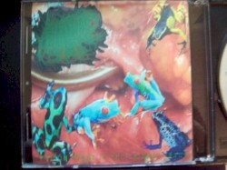 Metastatic Cystitis Of The Urethral-Bladder Structure Defined By Congenital And Uncertain Urological Conditions - Poison Frogs In The Urinary Tract