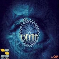 DMT Experience