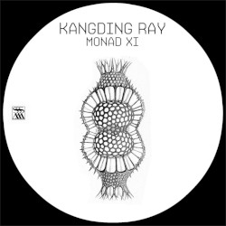 Monad XI